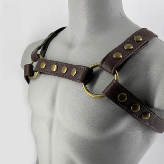 Infinity Brown Harness