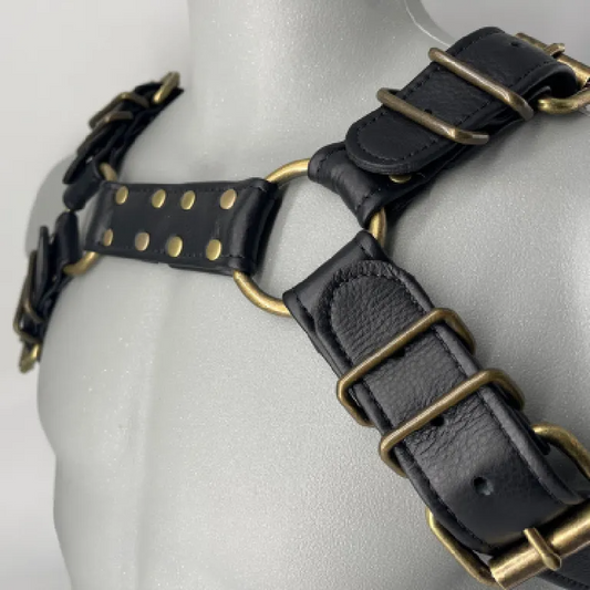 Black Bulldog Harness